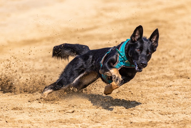 避免陷入